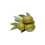Olives vertes ent manzanilla TRAMIERa/tire olives boc.170 G (B)