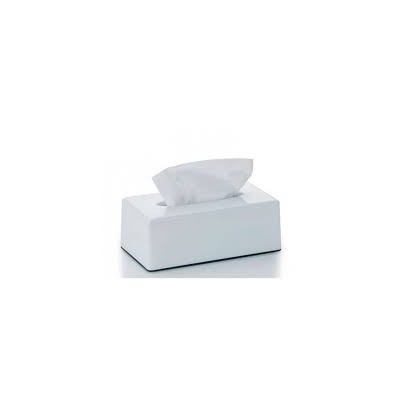Mouchoir PRIX MINI boite blanc  x150 G (B)